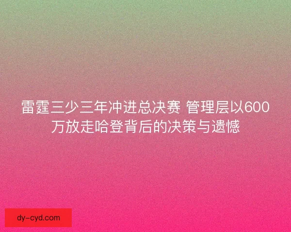 雷霆三少三年冲进总决赛 管理层以600万放走哈登背后的决策与遗憾